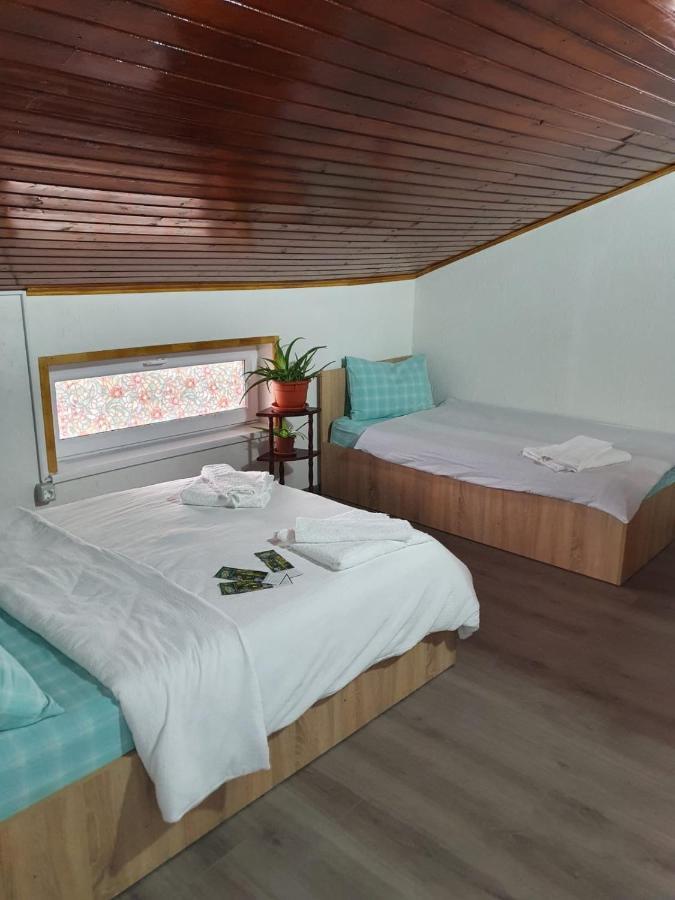 Casa Radu 호텔 툴체아 외부 사진